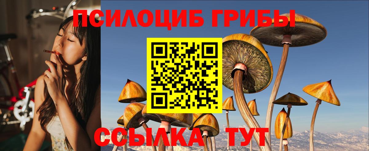 Галлюциногенные грибы Magic Shrooms  Галлюциногенные грибы Magic Shrooms  Елец  Вход с VPN 