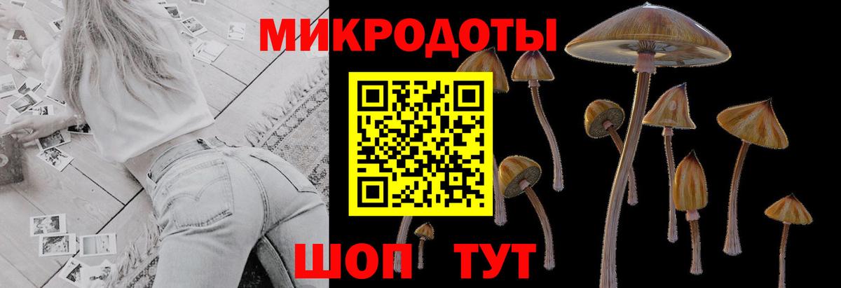 Галлюциногенные грибы мухоморы Елец